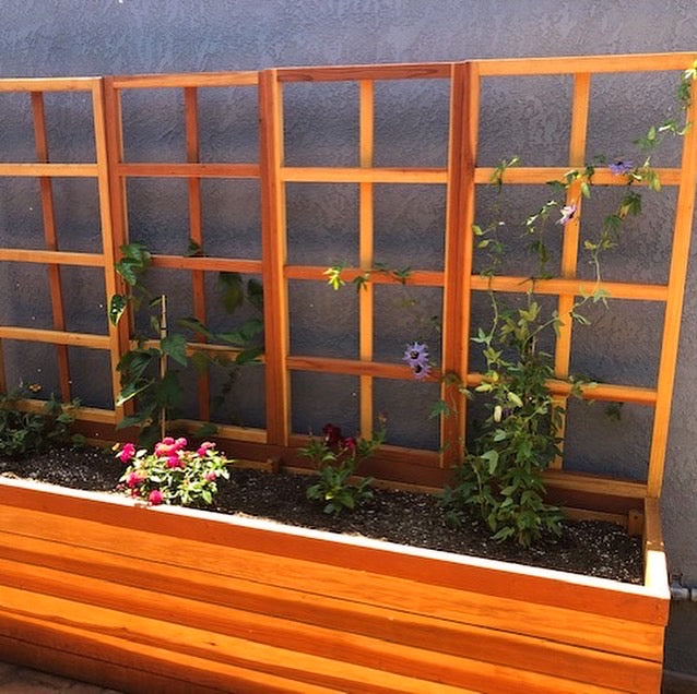 Best Redwood San Laura's Redwood Planter Box with Trellis