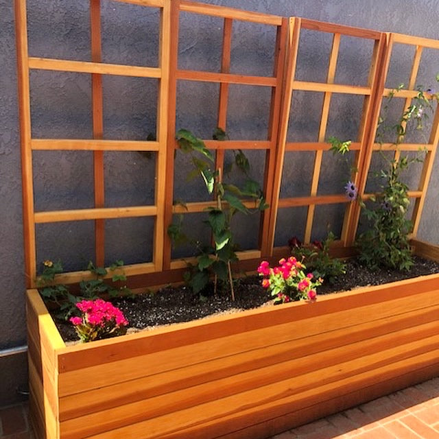 Best Redwood San Laura's Redwood Planter Box with Trellis